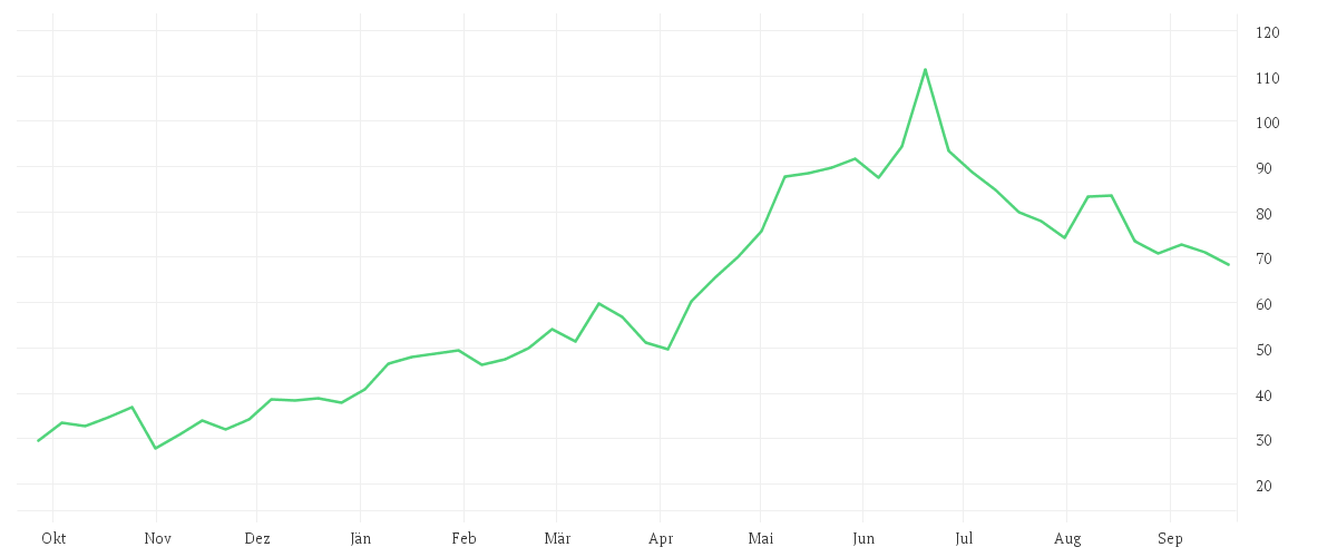 Chart zur Jahresentwicklung von SUSS MICROTEC SE NA O.N.